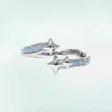INS