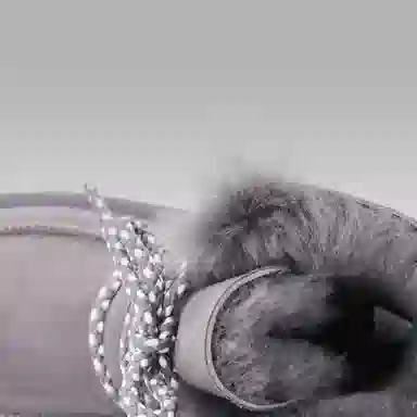 YELLOW EARTH NATURAL PRODUCTS WORTH