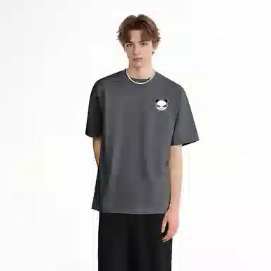 HIPANDA T
