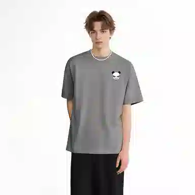 HIPANDA T