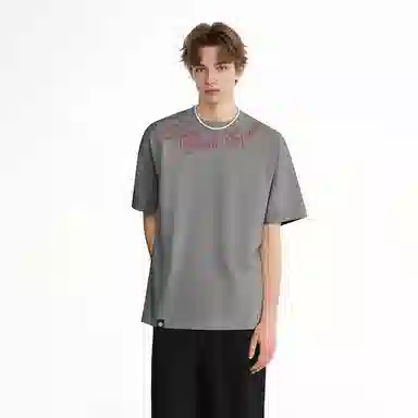 HIPANDA T