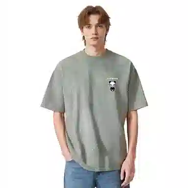 HIPANDA T