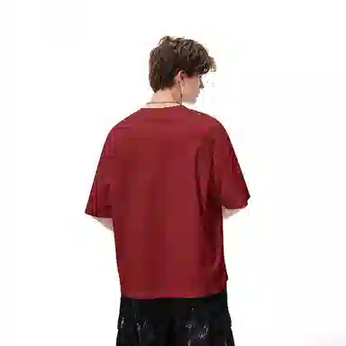 HIPANDA T