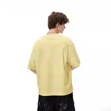 HIPANDA T