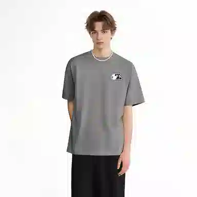 HIPANDA T