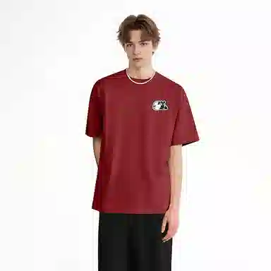 HIPANDA T