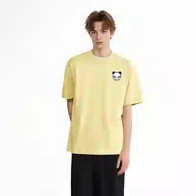 HIPANDA T