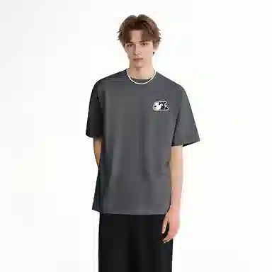 HIPANDA T