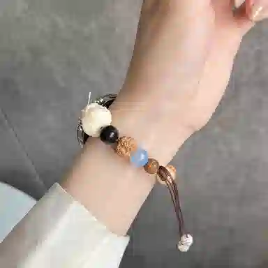 MSSM watch GT444ProGT3GT3pro33proBudsultimate