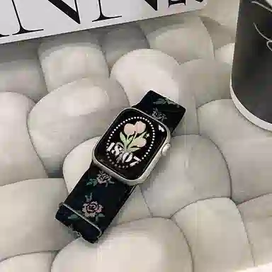 MSSM apple watch iwatchS9S8765SE