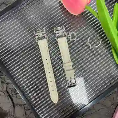 MSSM xiaomi 99nfc88nfc9pro8prowatch 4 kt