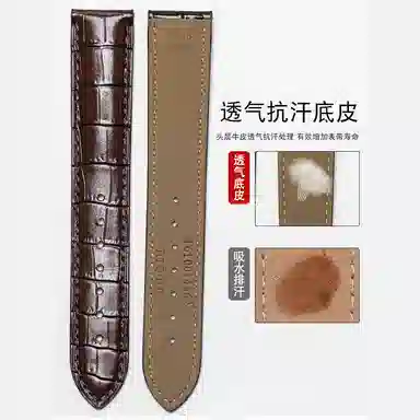 MSSM watch GT444ProGT3GT3pro3proBudsultimate