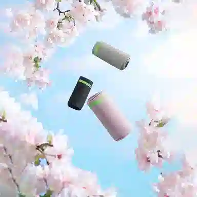 x REVER