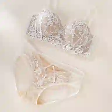 内在密码 蕾丝内衣女半杯聚拢小胸显大无钢圈上托收副乳法式纯欲文胸 女款