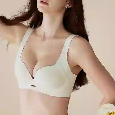 内在密码 无痕薄款大胸显小聚拢提拉防下垂收副乳调文胸 女款