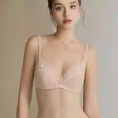 内在密码 薄款法式蕾丝大胸显小透气纯欲性感上托防下垂文胸 女款