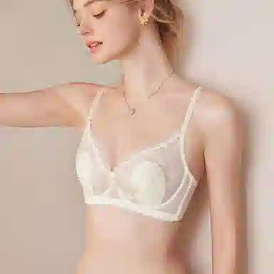 内在密码 大胸显小法式蕾丝软钢圈防下垂性感文胸 女款