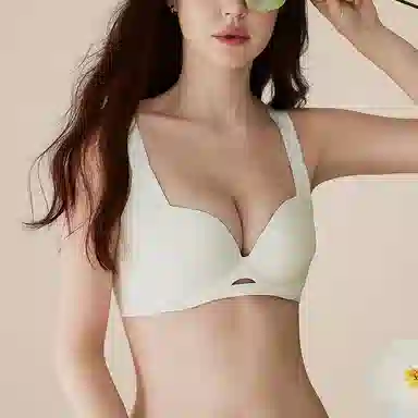 内在密码 无痕薄款大胸显小聚拢提拉防下垂收副乳调文胸 女款