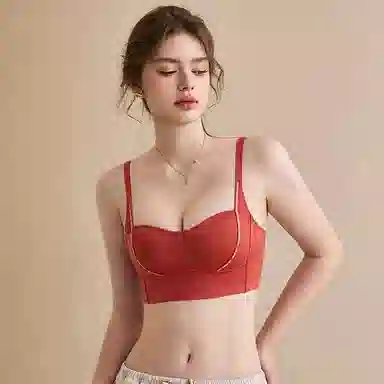 内在密码 抹胸聚拢本命年无钢圈收副乳防下垂无痕文胸 女款