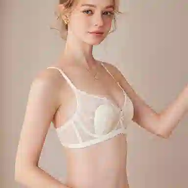 内在密码 大胸显小法式蕾丝软钢圈防下垂性感文胸 女款