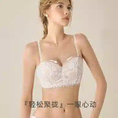 内在密码 蕾丝内衣女半杯聚拢小胸显大无钢圈上托收副乳法式纯欲文胸 女款