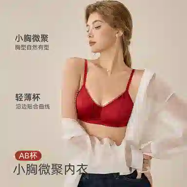 内在密码 桑蚕真丝文胸红色结婚新娘女小胸聚拢本命年法式性感薄款内衣裤套装 女款