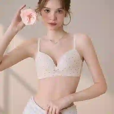 内在密码 法式小清新碎花蕾丝小胸不空杯无钢圈上托收副乳文胸 女款