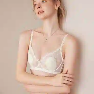 内在密码 大胸显小法式蕾丝软钢圈防下垂性感文胸 女款