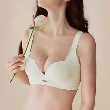 内在密码 无痕薄款大胸显小聚拢提拉防下垂收副乳调文胸 女款