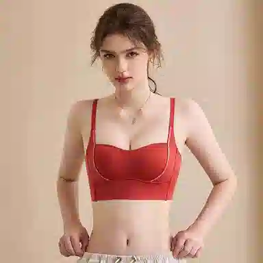 内在密码 抹胸聚拢本命年无钢圈收副乳防下垂无痕文胸 女款