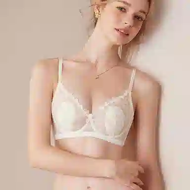 内在密码 大胸显小法式蕾丝软钢圈防下垂性感文胸 女款