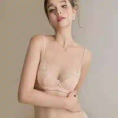 内在密码 薄款法式蕾丝大胸显小透气纯欲性感上托防下垂文胸 女款