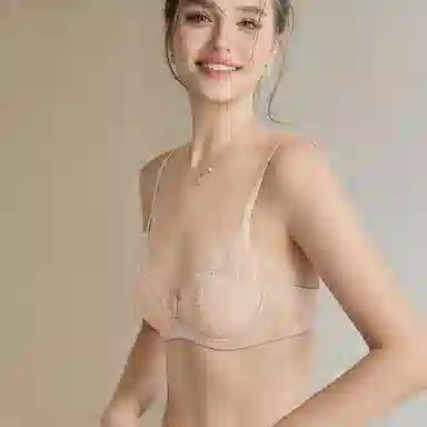 内在密码 薄款法式蕾丝大胸显小透气纯欲性感上托防下垂文胸 女款