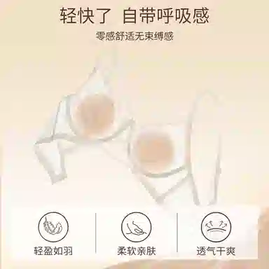 内在密码 大胸显小胸内衣女夏薄款性感蕾丝软钢圈防下垂聚拢纯欲法式文胸 女款