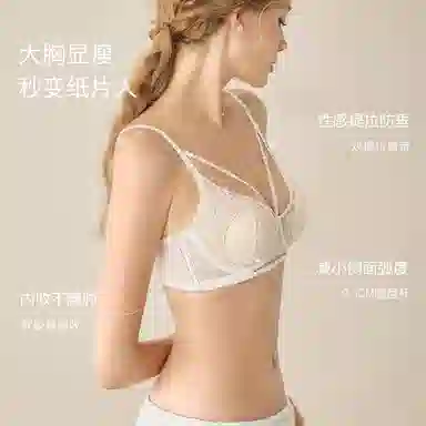 内在密码 大胸显小胸内衣女夏薄款性感蕾丝软钢圈防下垂聚拢纯欲法式文胸 女款