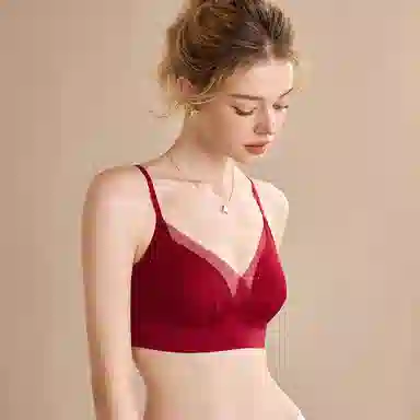 内在密码 蕾丝美背薄款显小胸聚拢法式性感一体式背心文胸 女款