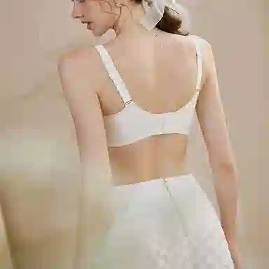 内在密码 无痕大码内衣大胸显小无钢圈果冻条收副乳裸感透气文胸