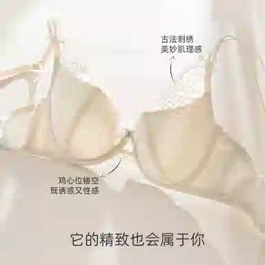 内在密码 法式纯欲蕾丝内衣女夏薄款大胸显小胸透气软钢圈防下垂性感文胸 女款