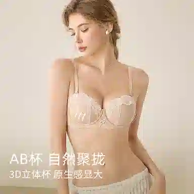 内在密码 聚拢内衣女小胸显大纯欲风格蕾丝花边法式性感半杯无钢圈上托防下垂收副乳文胸 女款