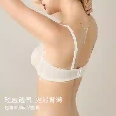 内在密码 大胸显小胸内衣女夏薄款性感蕾丝软钢圈防下垂聚拢纯欲法式文胸 女款