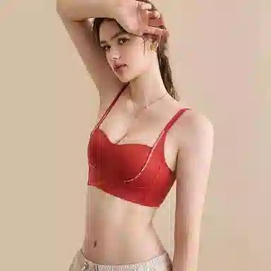 内在密码 抹胸聚拢本命年无钢圈收副乳防下垂无痕文胸 女款