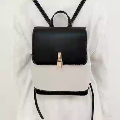 莫西里里 时尚通勤出游旅行高级感 帆布 书包背包双肩包 中号 女款 黑金色