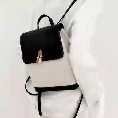 莫西里里 时尚通勤出游旅行高级感 帆布 书包背包双肩包 中号 女款 黑金色