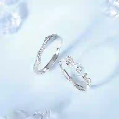 CLARKIA FLOWER qljz S925