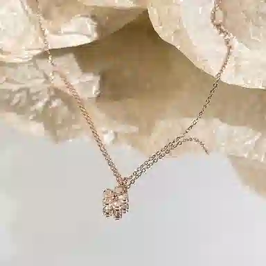 CLARKIA FLOWER ins S925