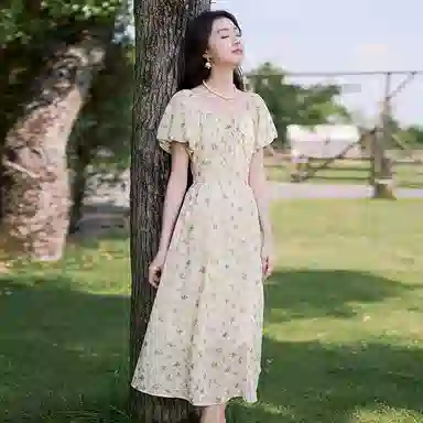XIANGYING V