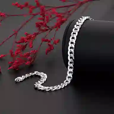 ins S925