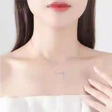 ins S925