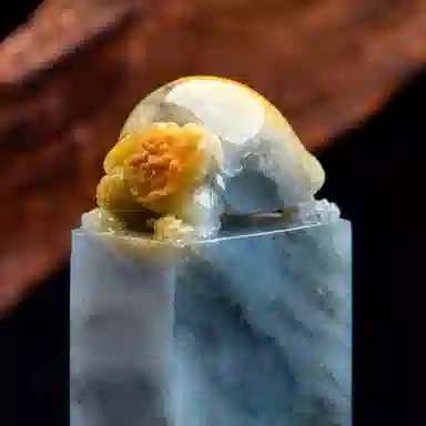 琳琯瑛 新中式国风国潮小众设计款乌鸡俏色黄皮长寿龙龟 糯种 翡翠印章 男女同款情侣款