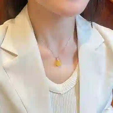 琳琯瑛 新中式国风小众设计高级感轻奢气质金枝玉叶 蜜蜡 项链 女款